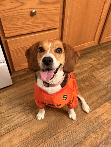 Entry image for Paisley Mae . Clicking this image will show a larger photo