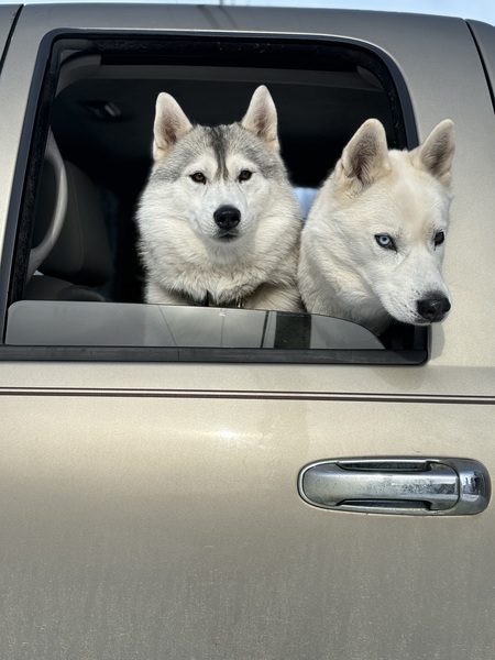 Entry image for Aurora & Angel. Clicking this image will show a larger photo