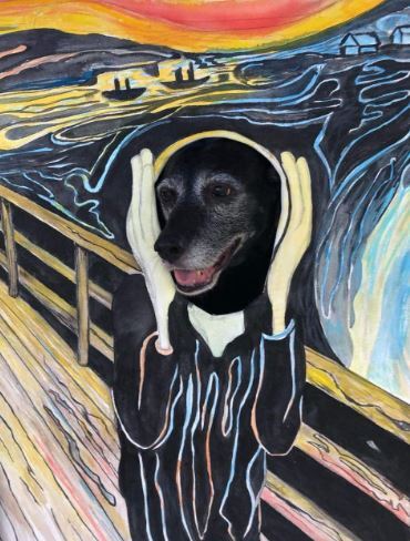 Entry image for Gracie Mae. Clicking this image will show a larger photo