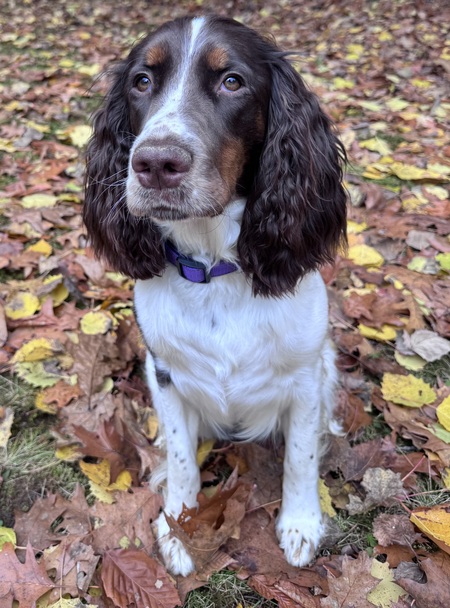 Entry image for Kaylah. Clicking this image will show a larger photo