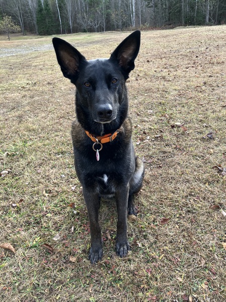 Entry image for Ryn. Clicking this image will show a larger photo