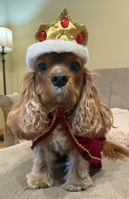 Entry image for Ruben. Clicking this image will show a larger photo