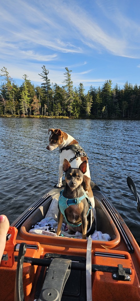 Entry image for Teddy and Maggie. Clicking this image will show a larger photo