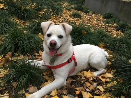 Entry image for Snow. Clicking this image will show a larger photo