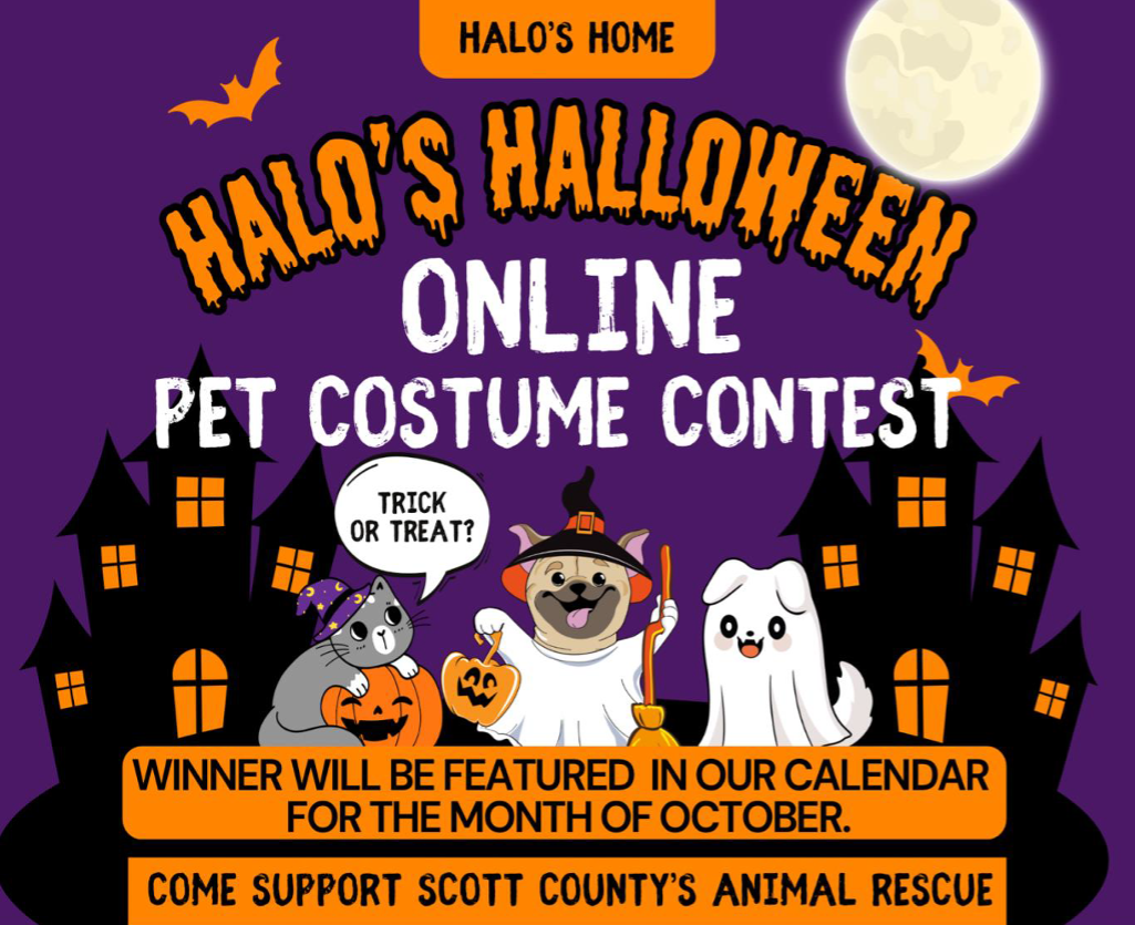 Banner for Online Pet Costume Contest for Halo’s Home