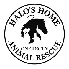 Logo for Online Pet Costume Contest for Halo’s Home