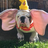 Entry image for Max Byrge