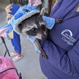 Entry image for Bonnie