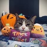 Entry image for Jasper 