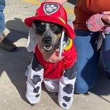 Entry image for Lumos