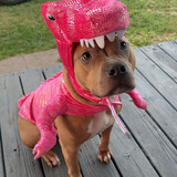 Entry image for Suki