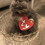 Entry image for Jelly 