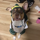 Entry image for Chubs