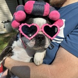 Entry image for Gucci 