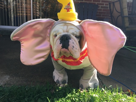 Entry image for Max Byrge. Clicking this image will show a larger photo