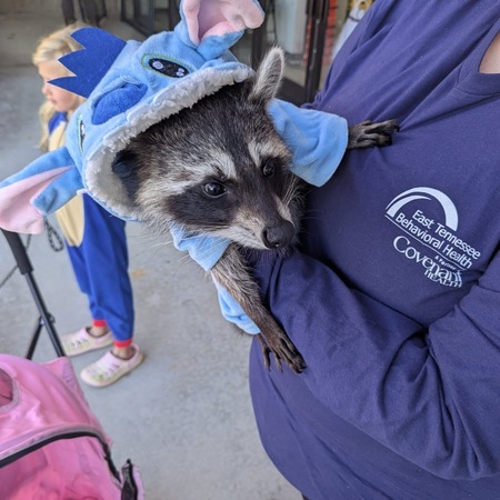 Entry image for Bonnie. Clicking this image will show a larger photo