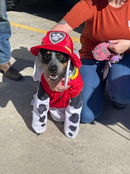 Entry image for Lumos. Clicking this image will show a larger photo