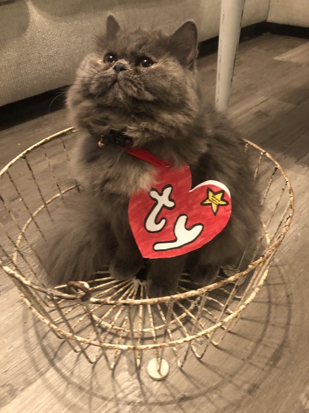 Entry image for Jelly . Clicking this image will show a larger photo