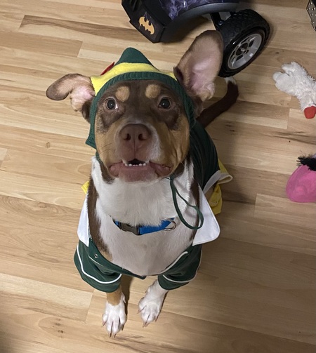 Entry image for Chubs. Clicking this image will show a larger photo