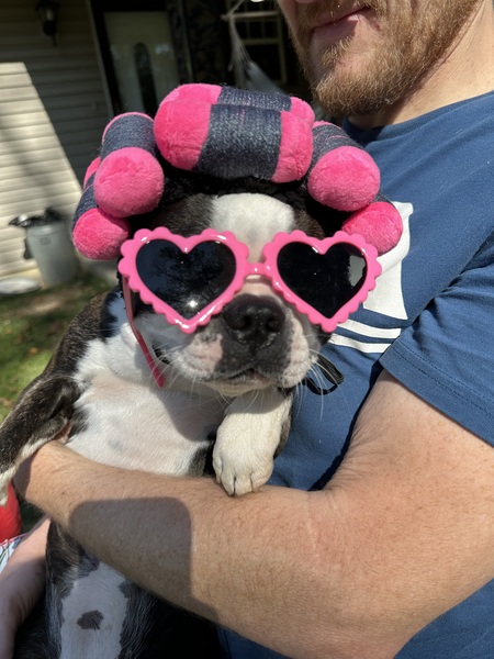 Entry image for Gucci . Clicking this image will show a larger photo