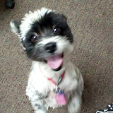 Entry image for Maizy