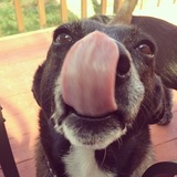 Entry image for Lulu