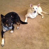 Entry image for Sprocket and Oakley