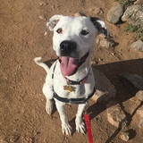 Entry image for Lena