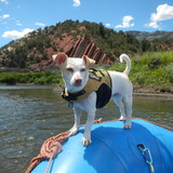 Entry image for Eddy