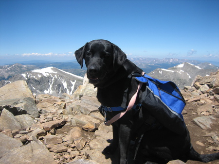 Entry image for Tucker. Clicking this image will show a larger photo