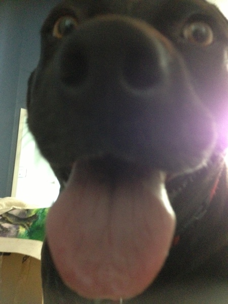Entry image for Betty. Clicking this image will show a larger photo