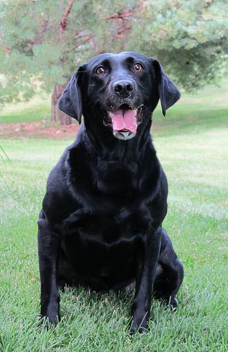 Entry image for Shay. Clicking this image will show a larger photo