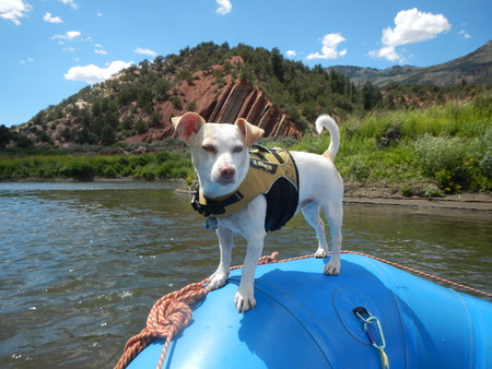 Entry image for Eddy. Clicking this image will show a larger photo