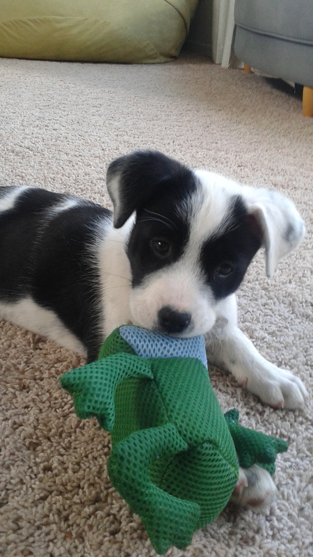 Entry image for Micki. Clicking this image will show a larger photo