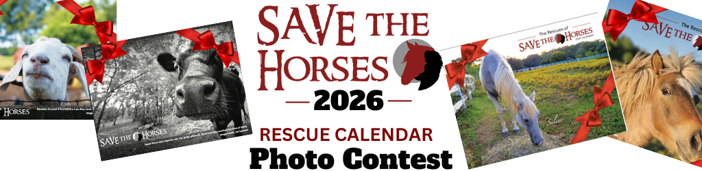 Banner for Save the Horses 2026 Calendar Photo Contest