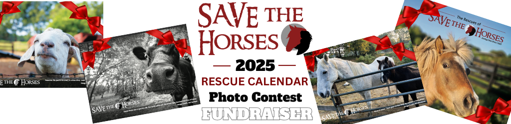 Banner for Save the Horses 2026 Calendar Photo Contest