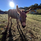 Entry image for You tell me