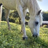 Entry image for Zipper