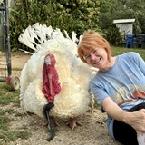 Entry image for Frank