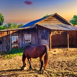 Entry image for Alivie