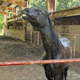 Entry image for River 