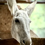 Entry image for Radar