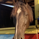 Entry image for River