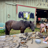 Entry image for Aspen