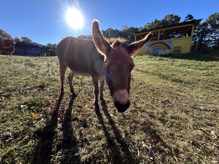 Entry image for You tell me. Clicking this image will show a larger photo