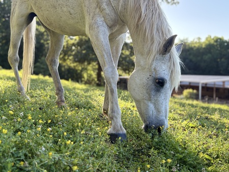 Entry image for Zipper. Clicking this image will show a larger photo