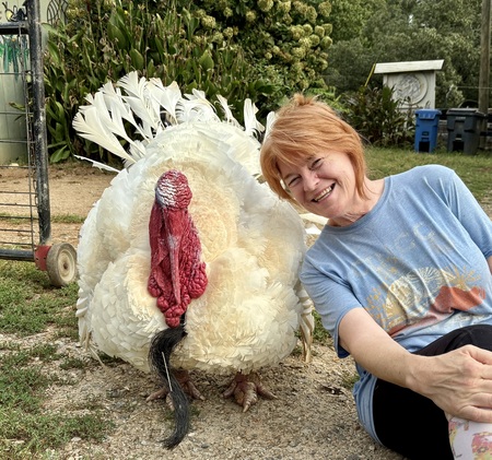 Entry image for Frank. Clicking this image will show a larger photo