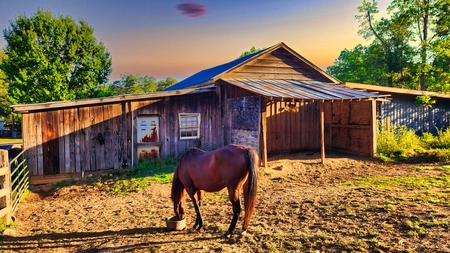 Entry image for Alivie. Clicking this image will show a larger photo