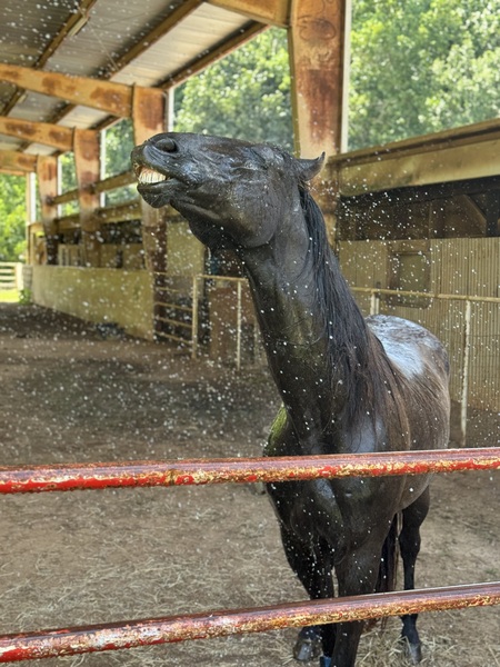 Entry image for River . Clicking this image will show a larger photo