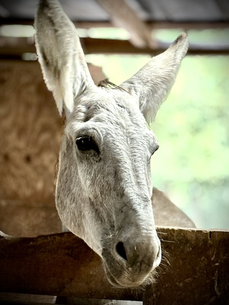 Entry image for Radar. Clicking this image will show a larger photo